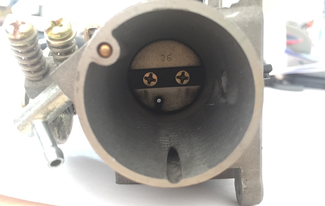 Throttle with hole on blade